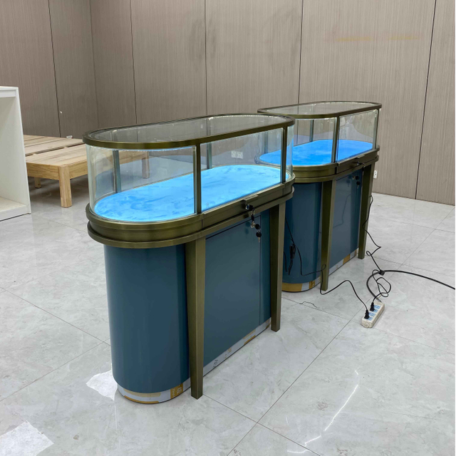 Élégant armoire à exposition en verre